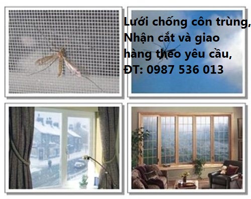 lưới inox chống muỗi THĂNG LONG 20 mesh